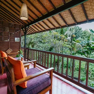 2* Guest house Jati