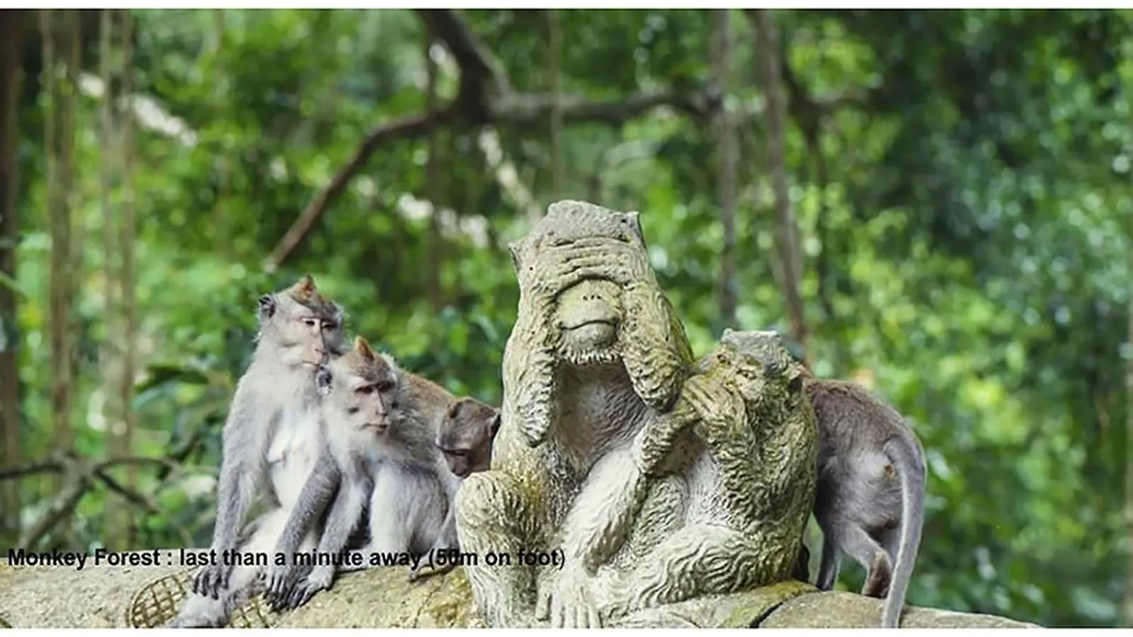Pande Permai Bungalows Ubud Endonezya